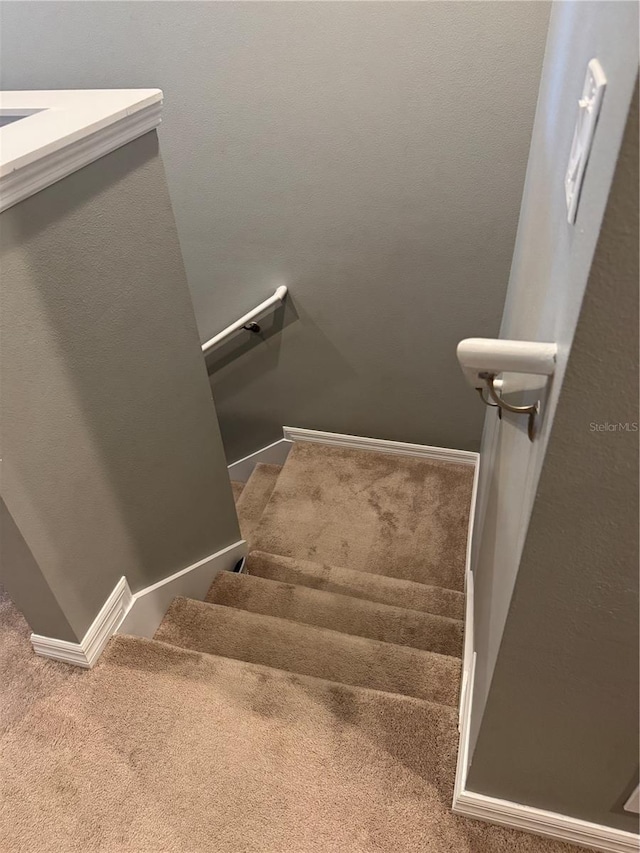 stairs with carpet flooring