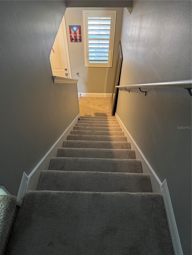 stairs with carpet