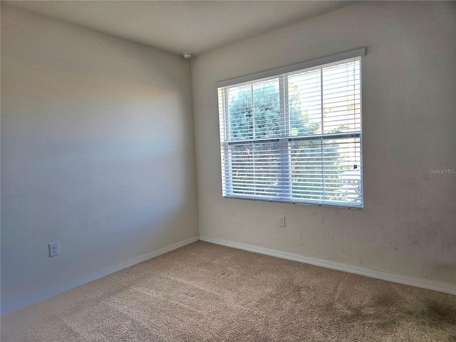 spare room featuring carpet floors