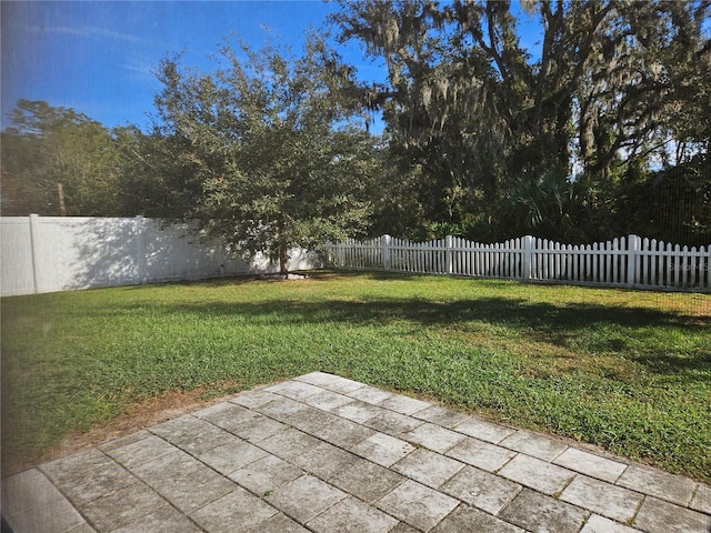 view of yard featuring a patio