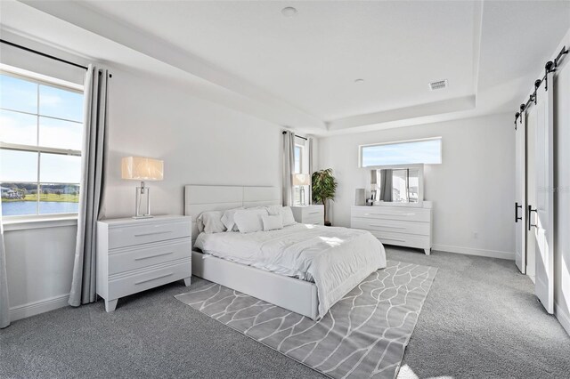 carpeted bedroom featuring a barn door and a water view