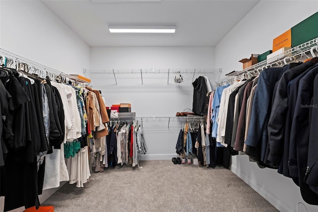 walk in closet with carpet