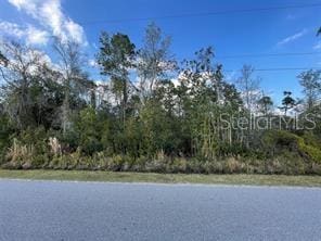 Listing photo 2 for Moore St, Saint Cloud FL 34771