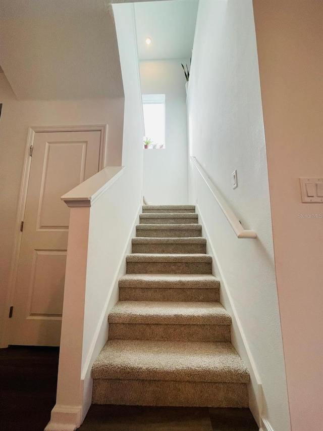 stairway with hardwood / wood-style floors