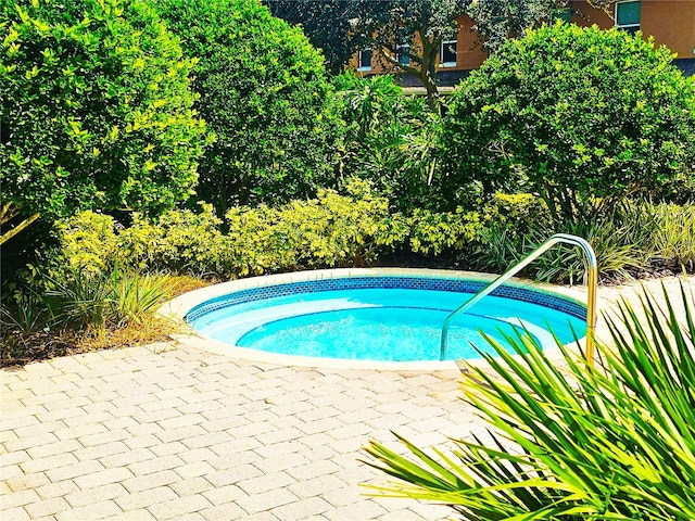 view of pool with a patio