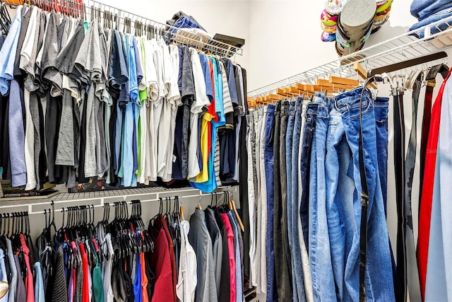 view of spacious closet