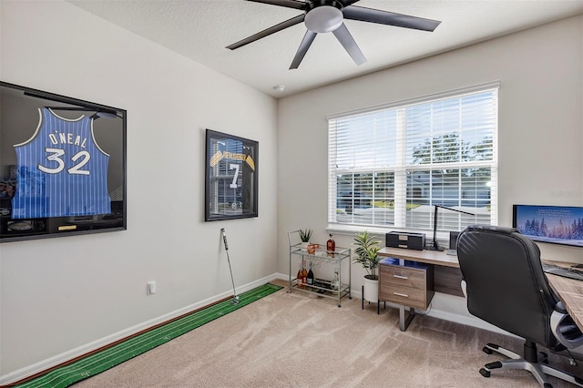 office space with ceiling fan, carpet floors, and a textured ceiling