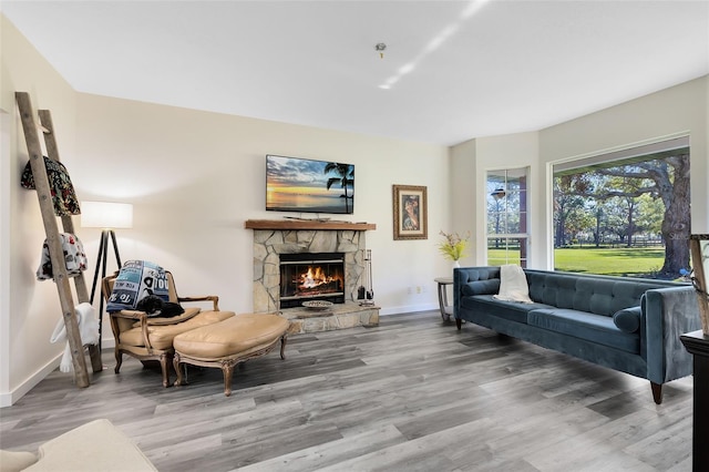 living room featuring a fireplace and wood-type flooring