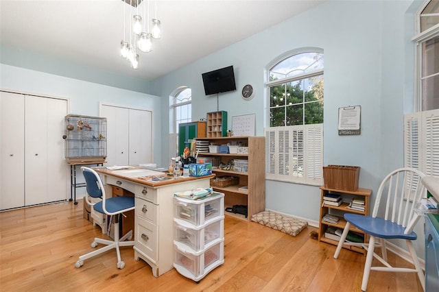 office area featuring a healthy amount of sunlight and light hardwood / wood-style floors