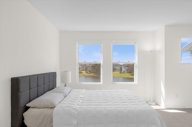 bedroom with multiple windows and carpet