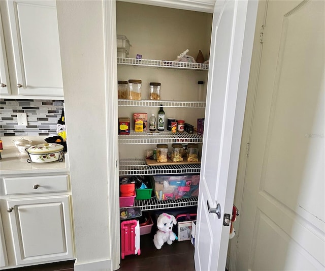 view of pantry