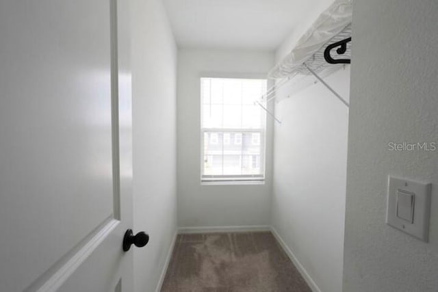 walk in closet with dark colored carpet