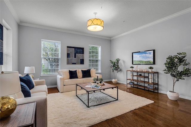 living room with a textured ceiling, dark hardwood / wood-style floors, and ornamental molding