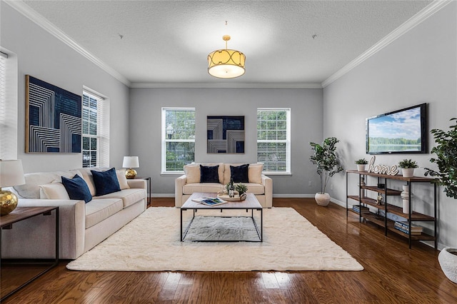 living room with dark wood-type flooring, a textured ceiling, and ornamental molding