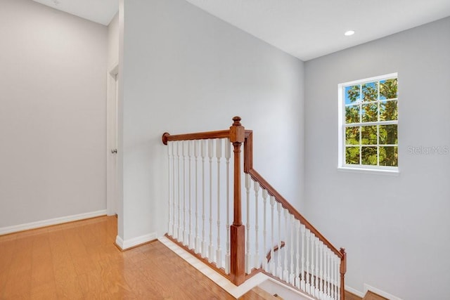 staircase featuring wood-type flooring