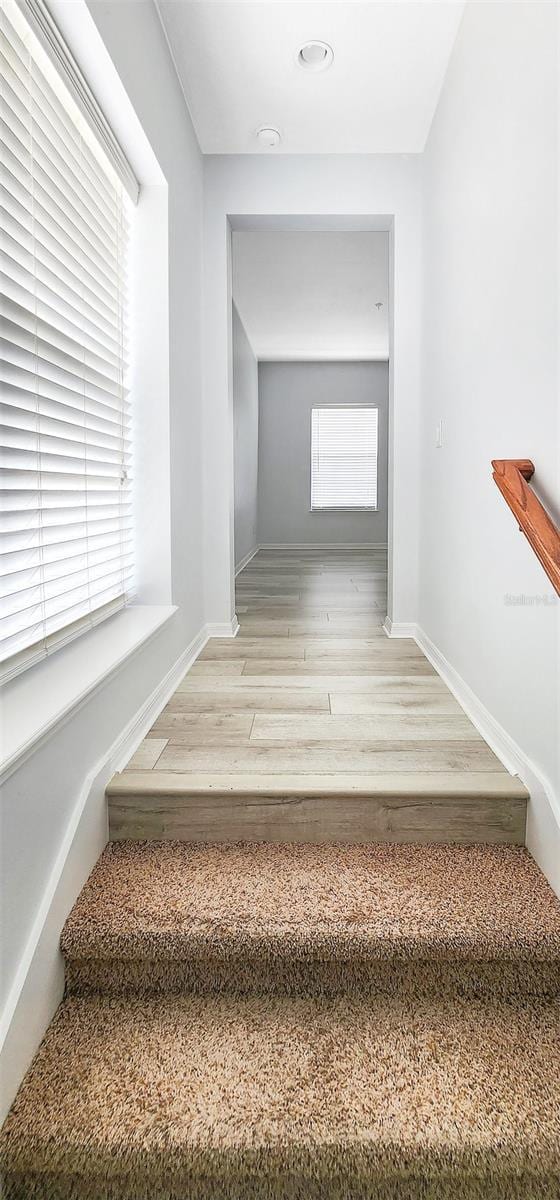 staircase featuring hardwood / wood-style floors