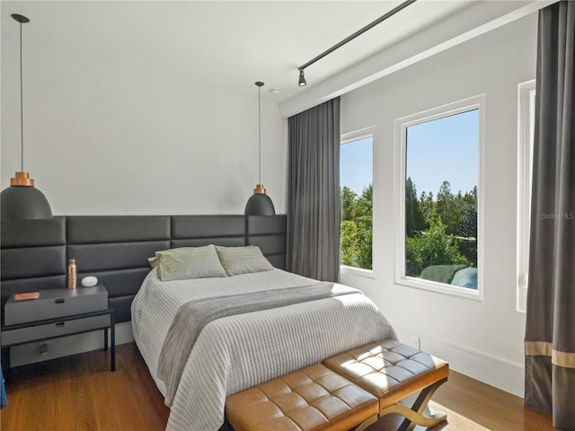 bedroom featuring hardwood / wood-style flooring, track lighting, and multiple windows