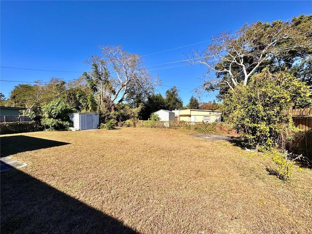 view of yard featuring a shed