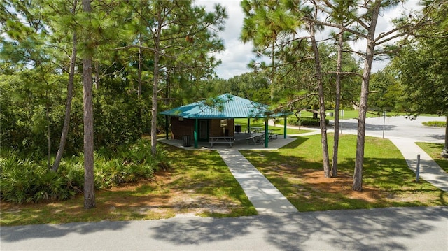 view of home's community with a lawn