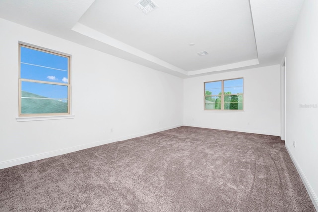 carpeted spare room with a raised ceiling