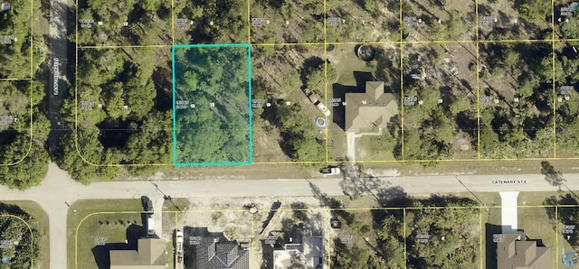 1117 Catenary St, Lehigh Acres FL, 33974 land for sale