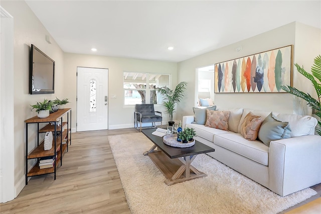 living room with light hardwood / wood-style floors