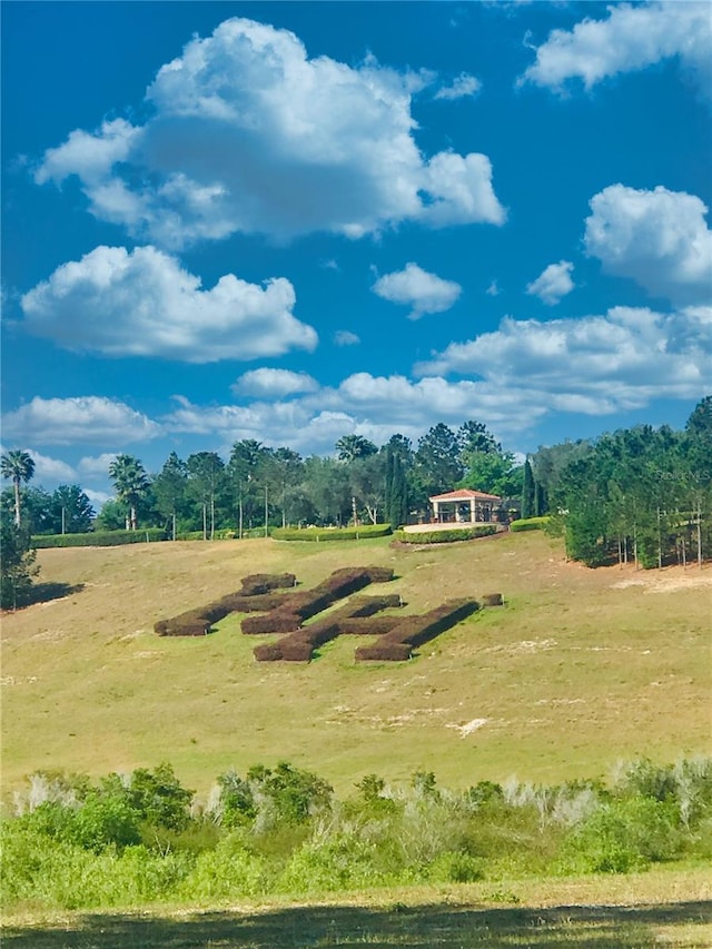 view of home's community with a rural view