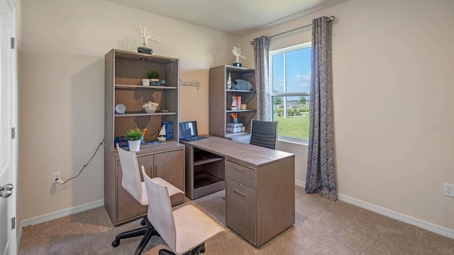 carpeted office with a healthy amount of sunlight