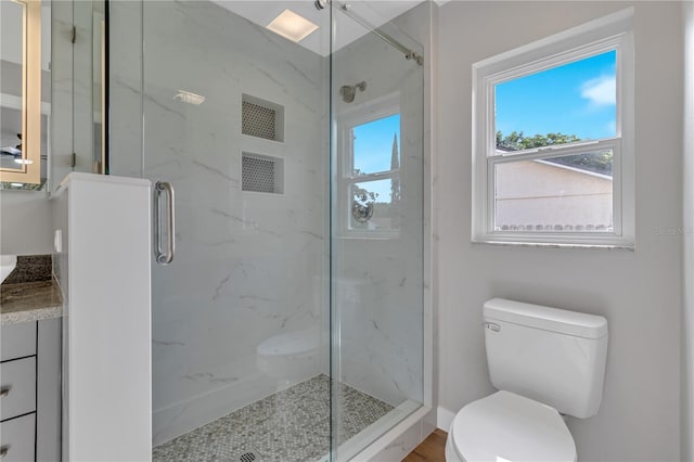 bathroom with vanity, an enclosed shower, and toilet