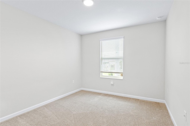 empty room featuring carpet floors