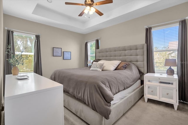 carpeted bedroom with a raised ceiling, multiple windows, and ceiling fan