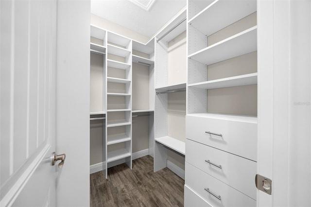 spacious closet featuring dark hardwood / wood-style flooring