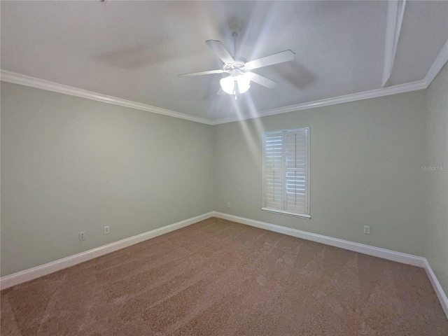 empty room featuring carpet floors and ornamental molding