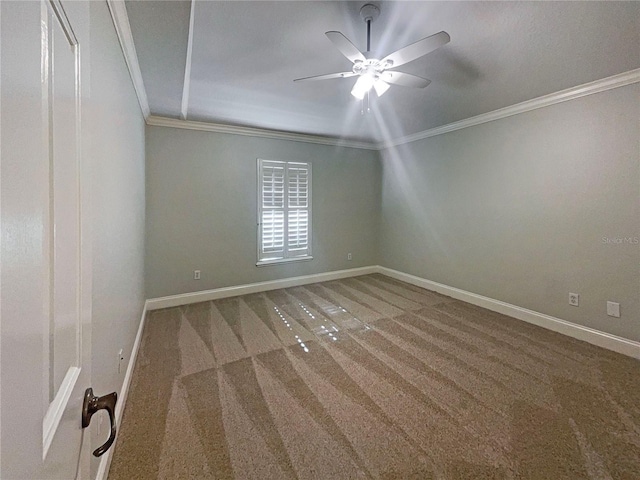 carpeted spare room featuring ceiling fan and ornamental molding