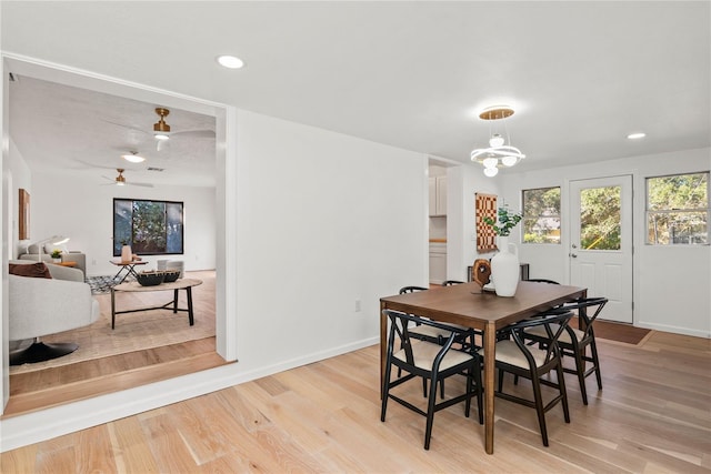 dining room with a healthy amount of sunlight, ceiling fan with notable chandelier, and light hardwood / wood-style floors