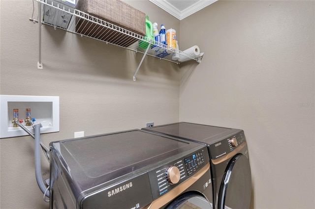 washroom featuring crown molding and washing machine and clothes dryer