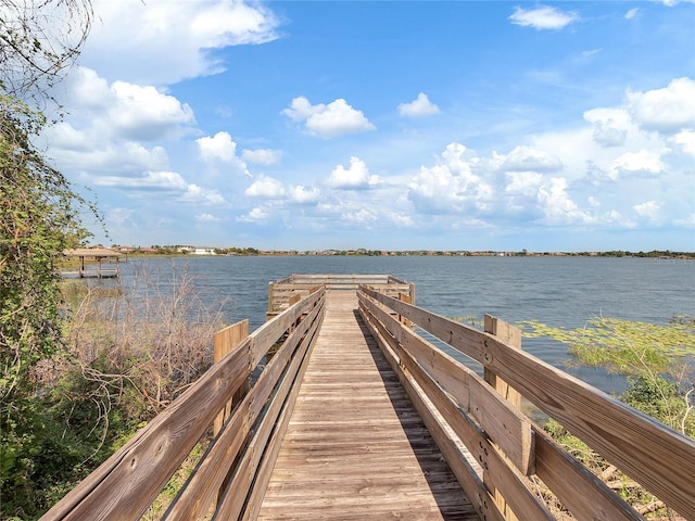 7321 Brightland St, Windermere, FL 34786 - photo 31