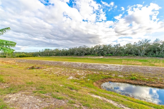 591 Preserve Pointe Blvd, Davenport, FL 33837 - photo 7