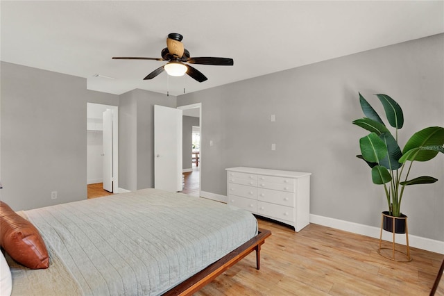 bedroom featuring a closet, ceiling fan, light hardwood / wood-style flooring, and a spacious closet