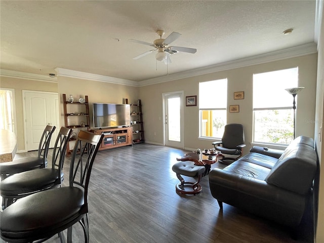 living room with a textured ceiling, ceiling fan, dark hardwood / wood-style flooring, and crown molding