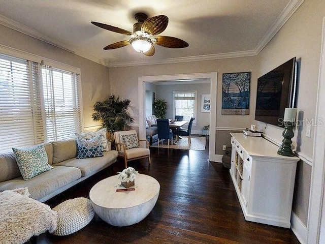 living room with dark hardwood / wood-style flooring, ceiling fan, and ornamental molding