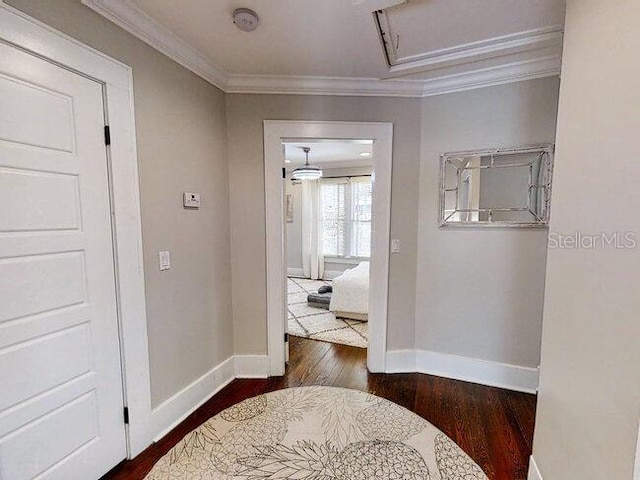 hallway with dark wood-type flooring and ornamental molding