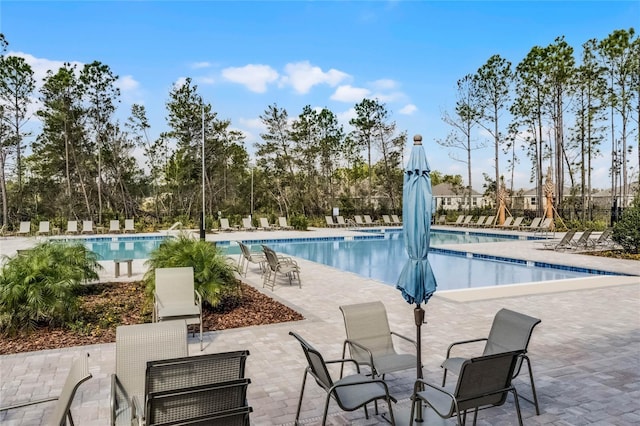 view of swimming pool with a patio