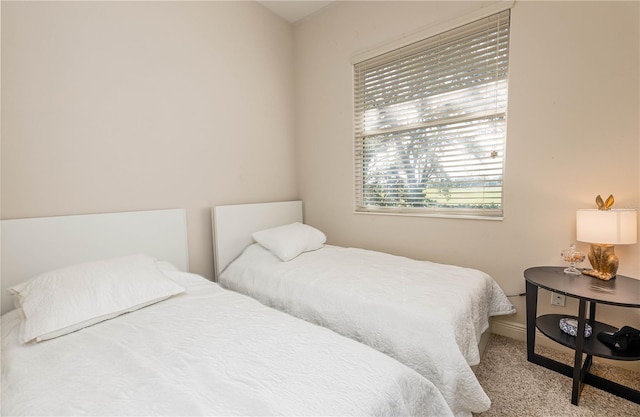 bedroom featuring carpet floors