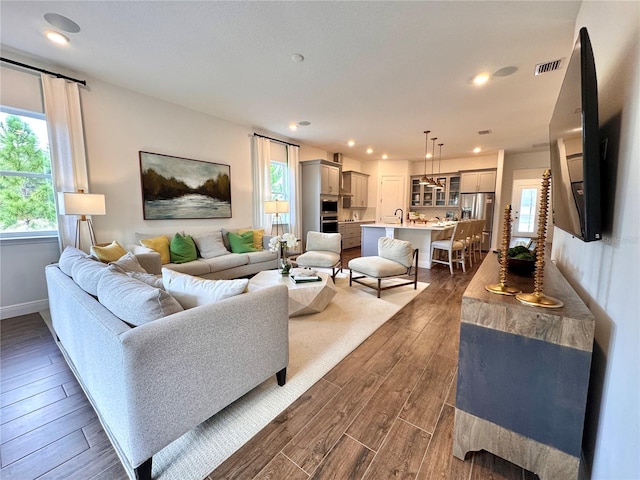 living room with dark hardwood / wood-style flooring and sink