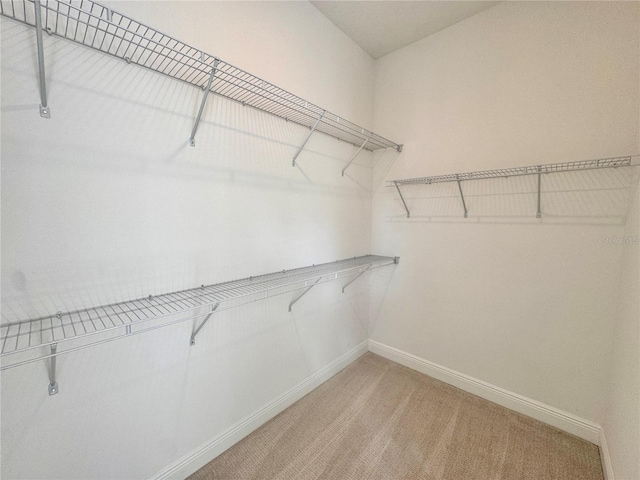 spacious closet with carpet floors