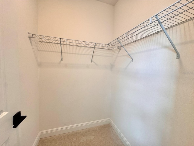 walk in closet featuring carpet flooring