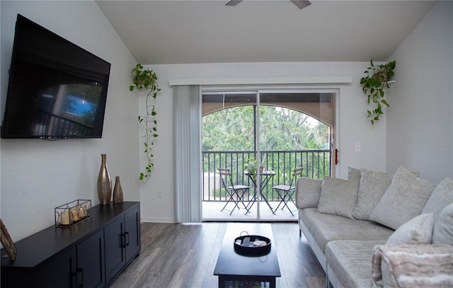 living room with lofted ceiling and wood-type flooring