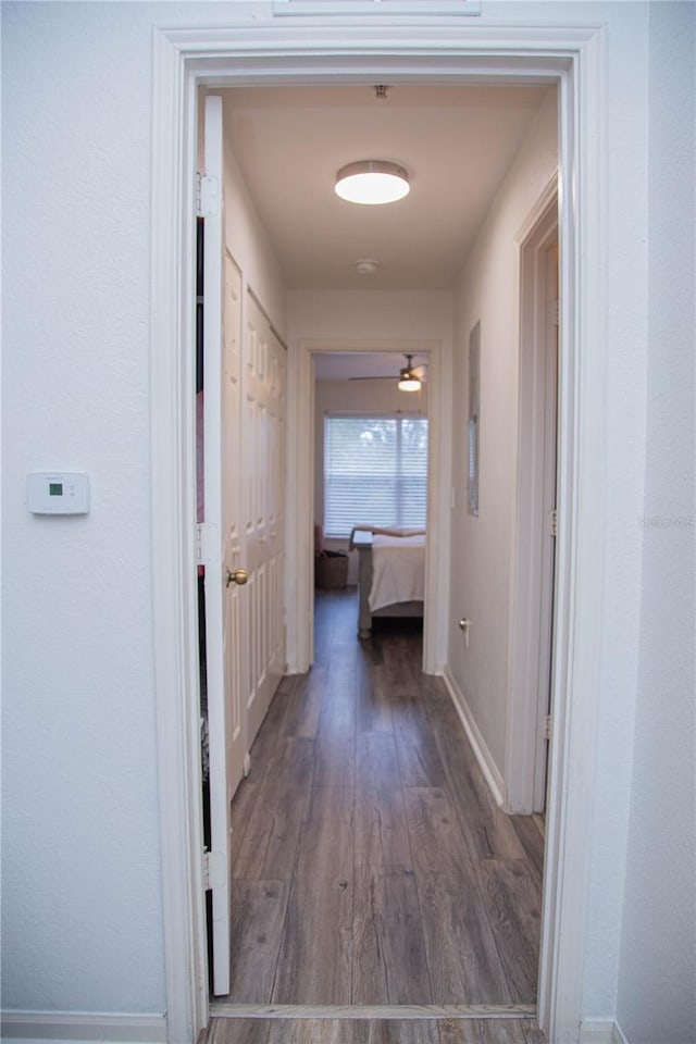 hallway with dark hardwood / wood-style floors