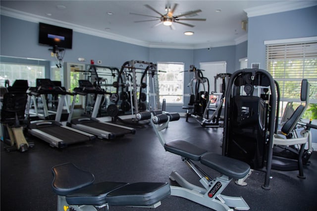 workout area featuring plenty of natural light, ceiling fan, and crown molding